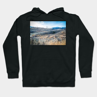 Osoyoos Desert Winter Landscape Hoodie